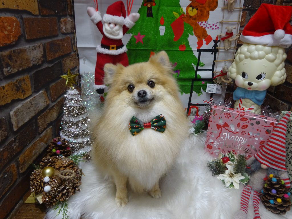 dsc04391