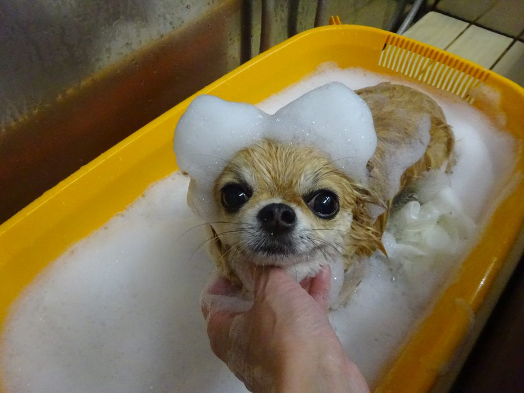 dsc04436