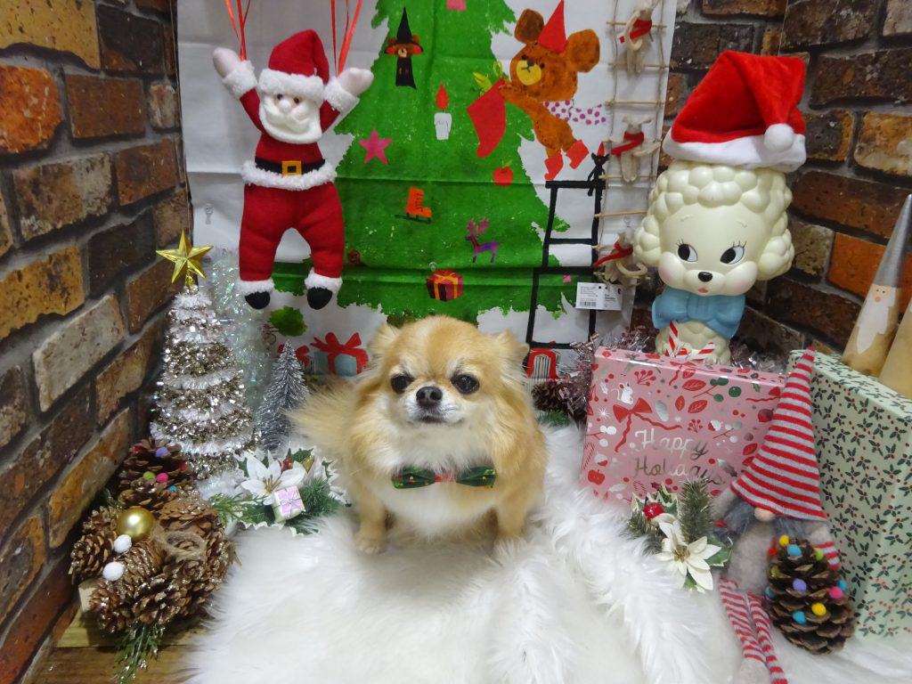 dsc04439