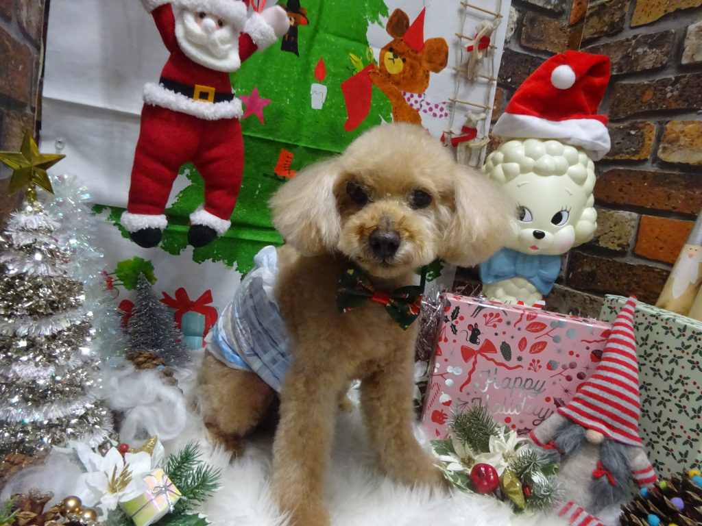 dsc04543