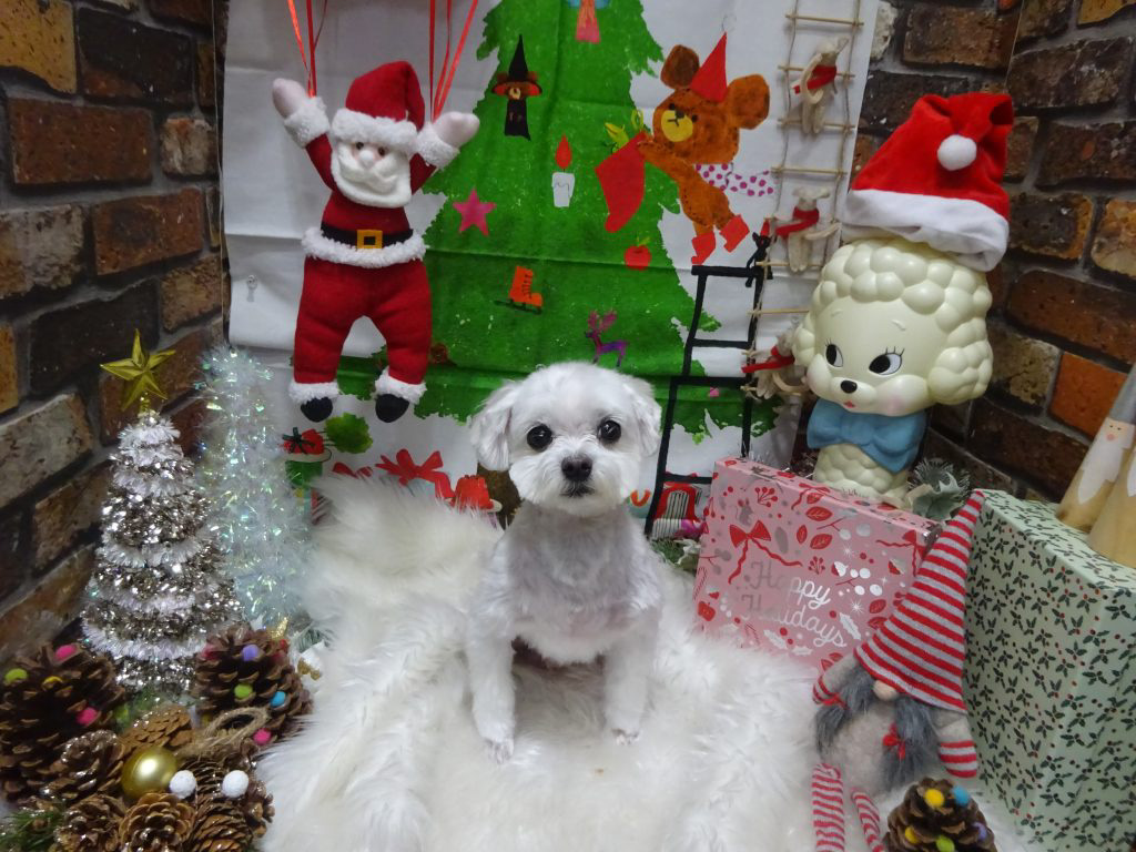 dsc04763