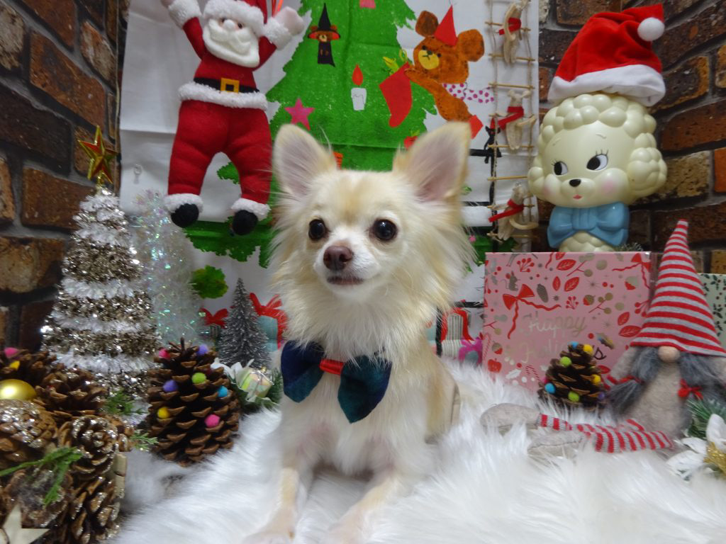 dsc04924