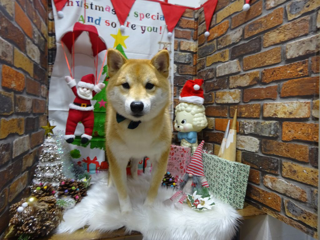 dsc04963