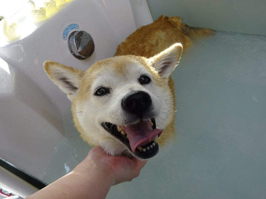 dsc05061