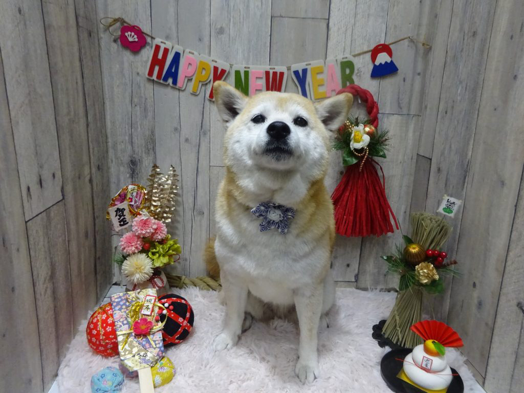 dsc05082
