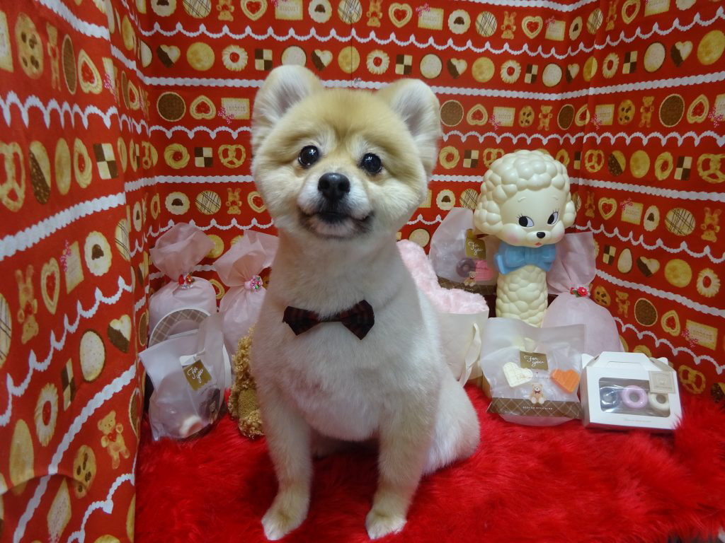 dsc05919