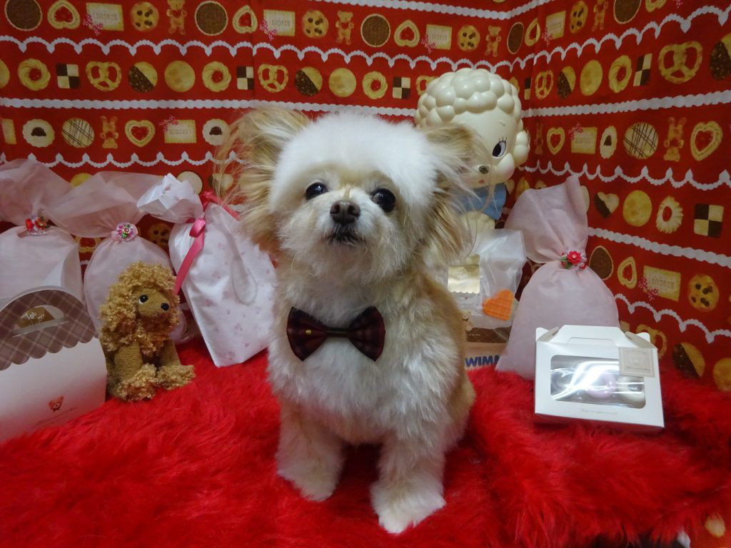 dsc06169