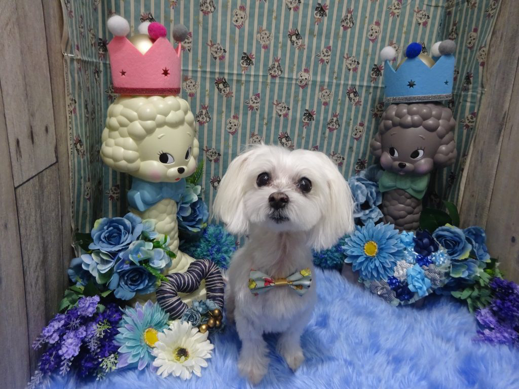 dsc06904