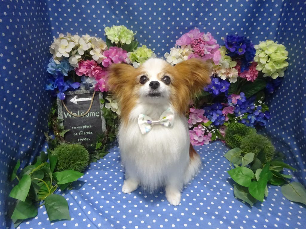 dsc01357