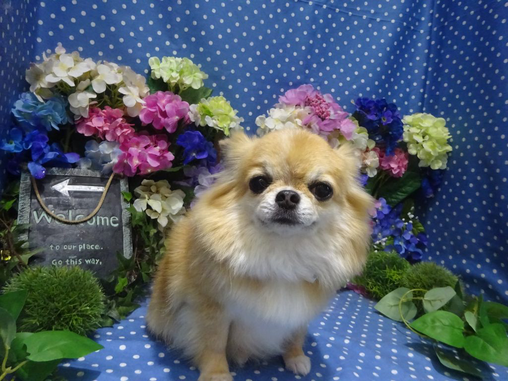 dsc01384