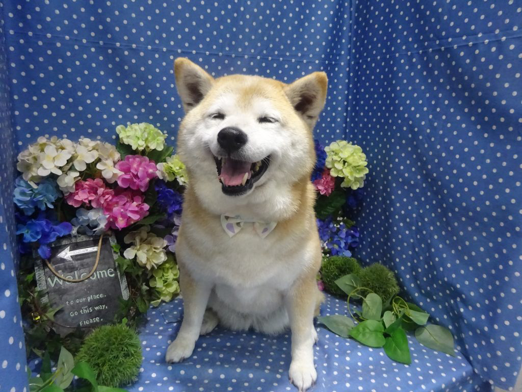 dsc01498