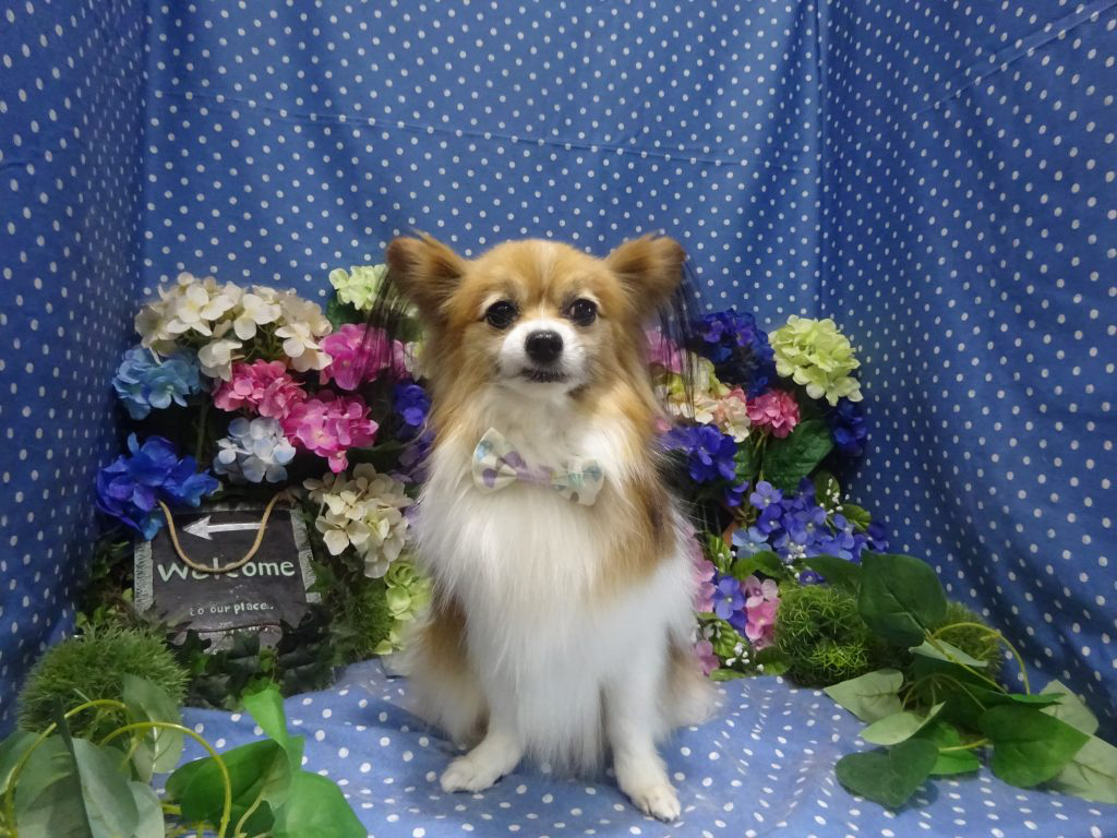 dsc01601
