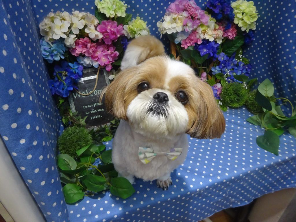 dsc01608