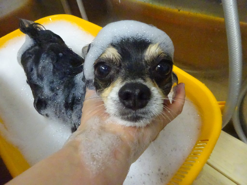 dsc01610