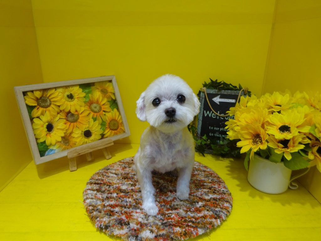 dsc02156