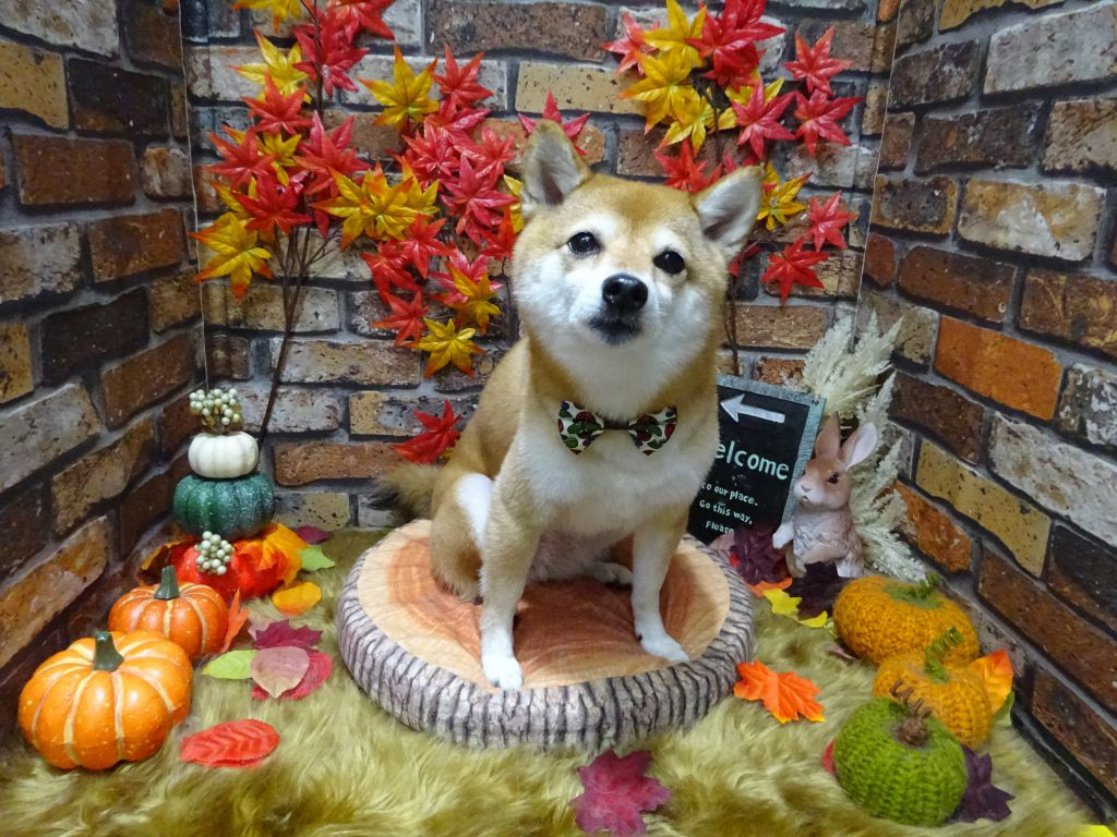 dsc00185