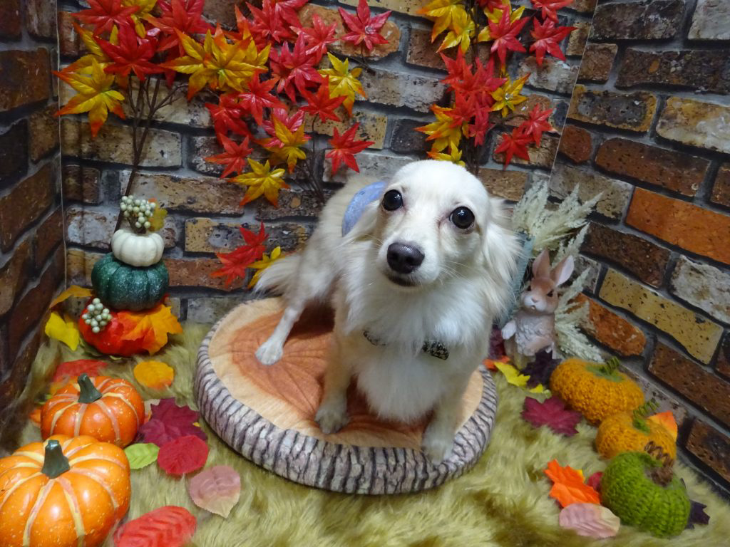 dsc00234