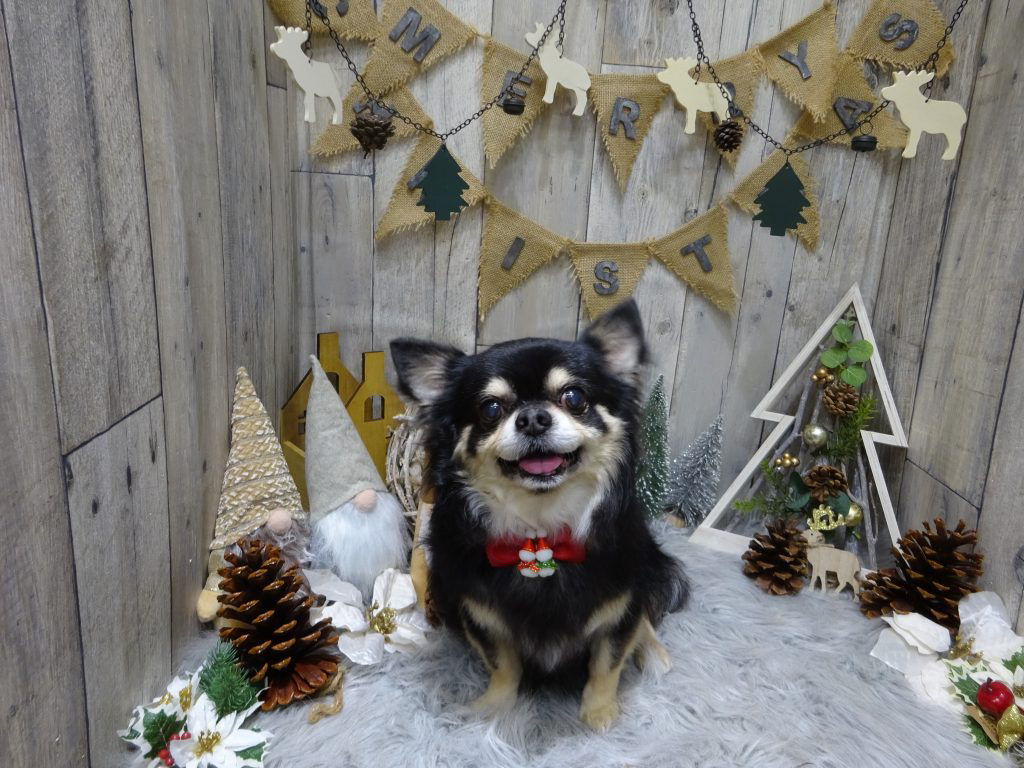 dsc00426