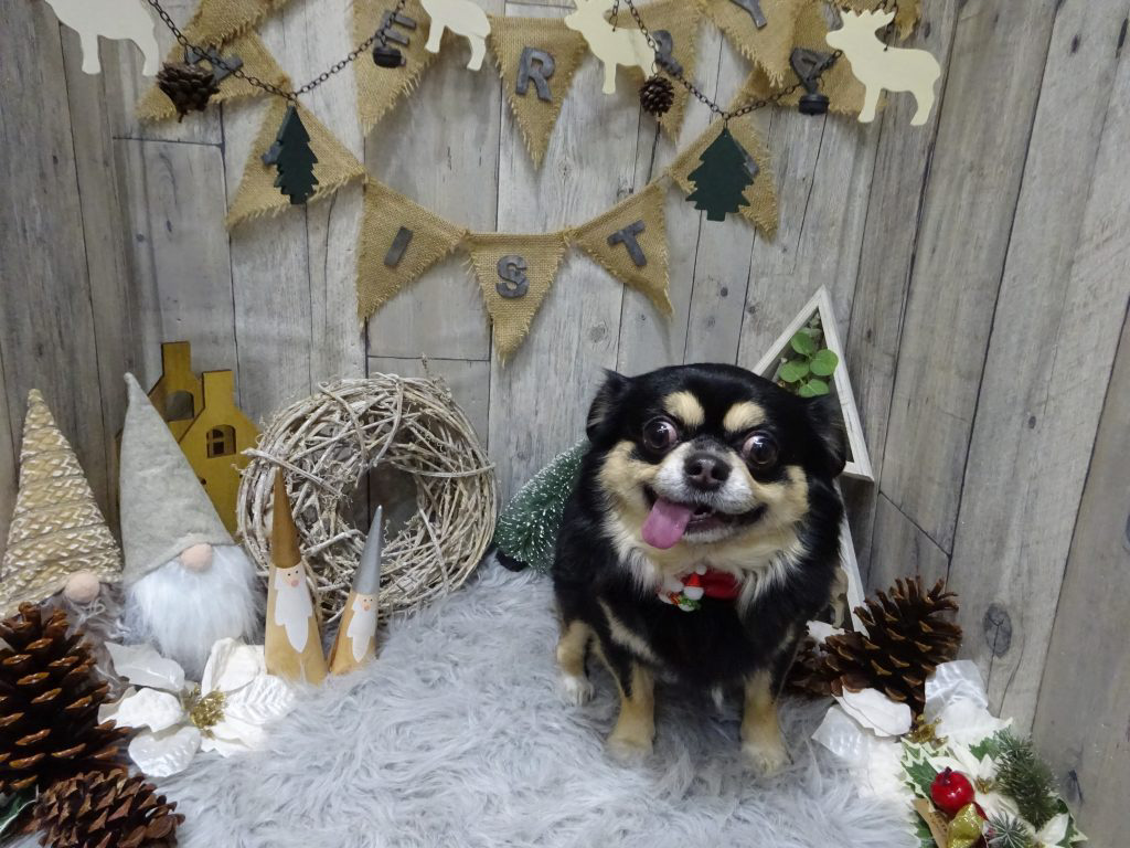 dsc00597