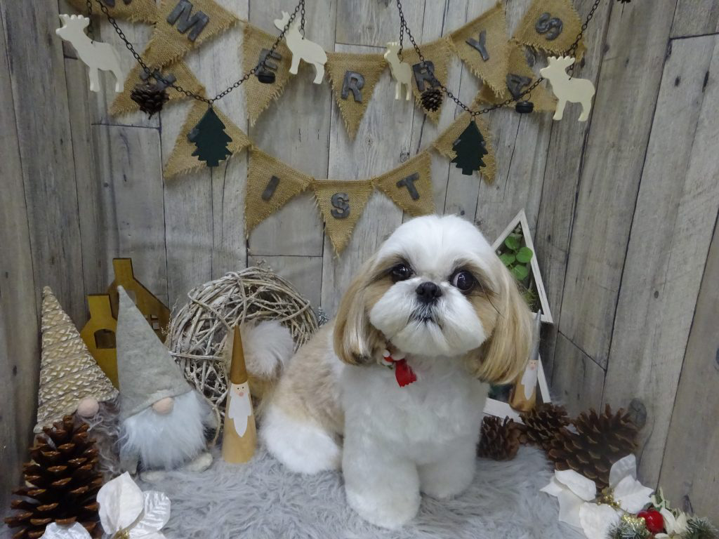 dsc01540