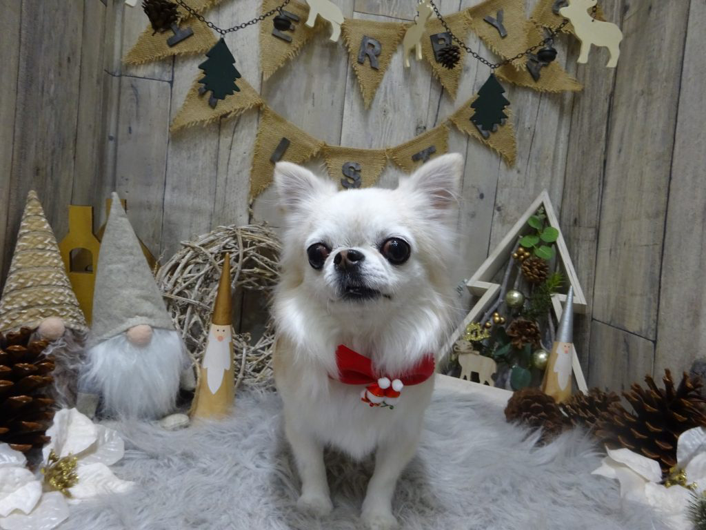 dsc01630