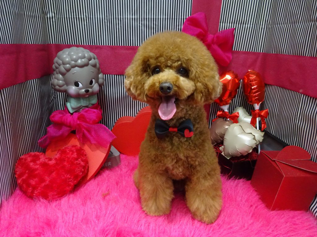dsc02829