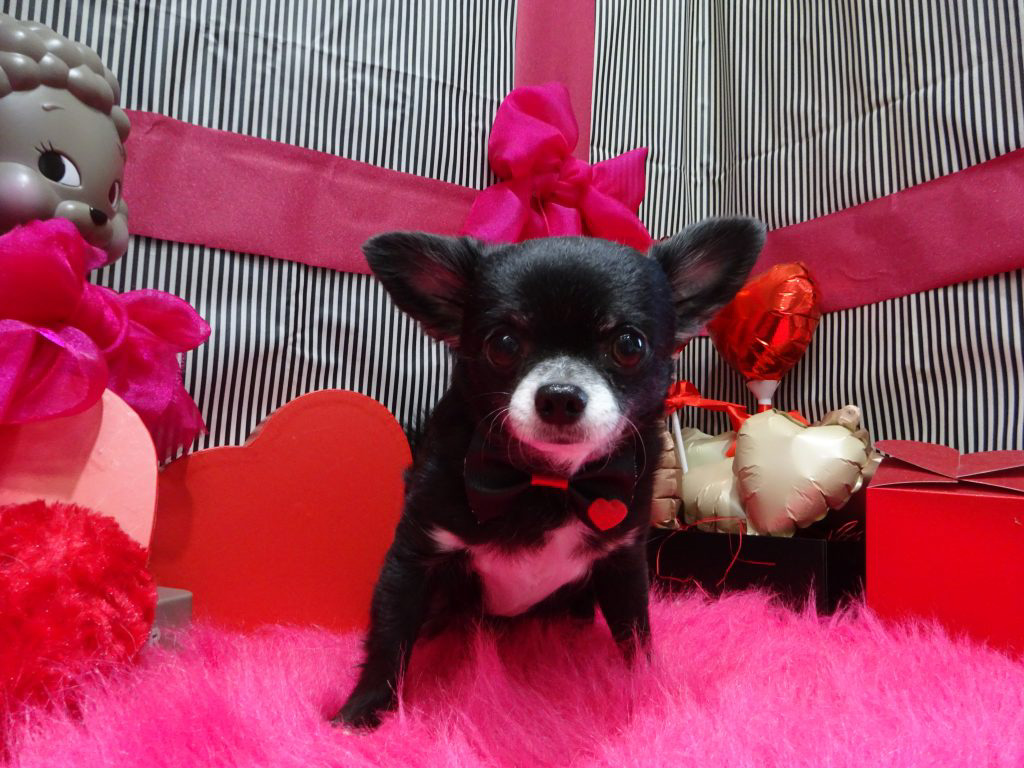 dsc02936