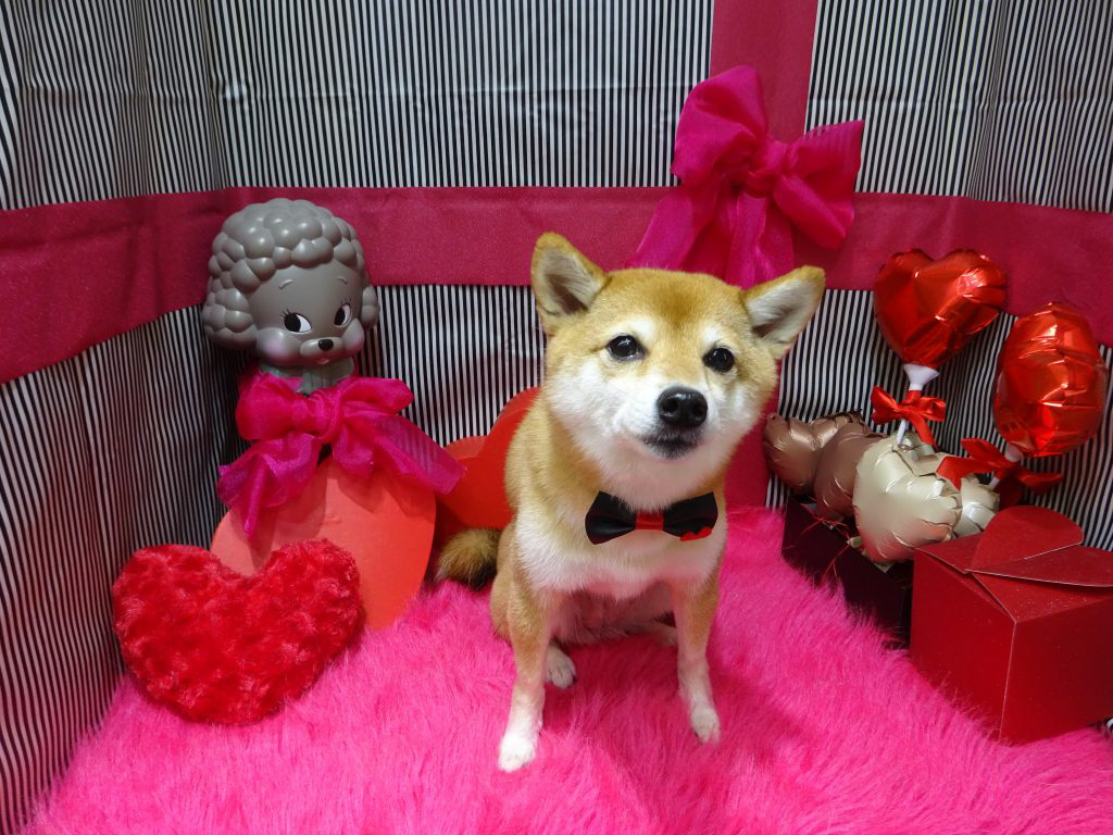 dsc03040