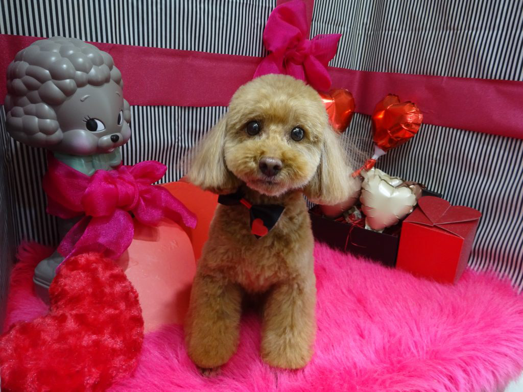 dsc03262
