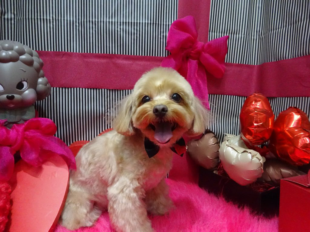 dsc03312