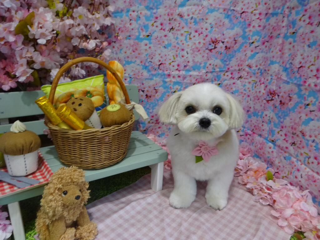 dsc04509