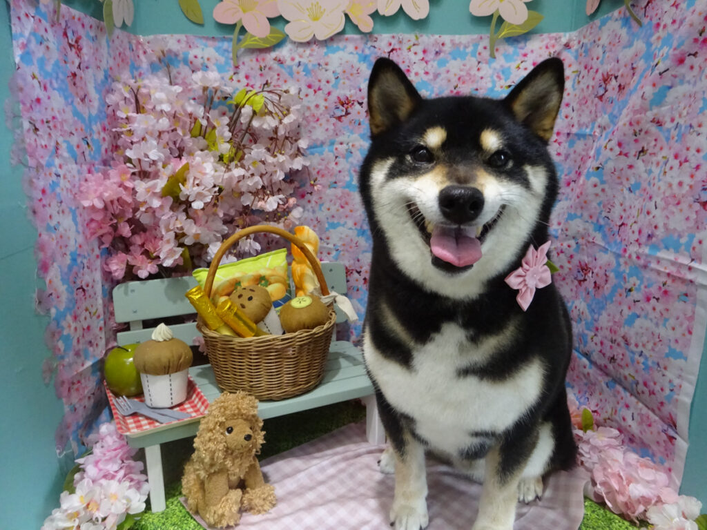 dsc04524