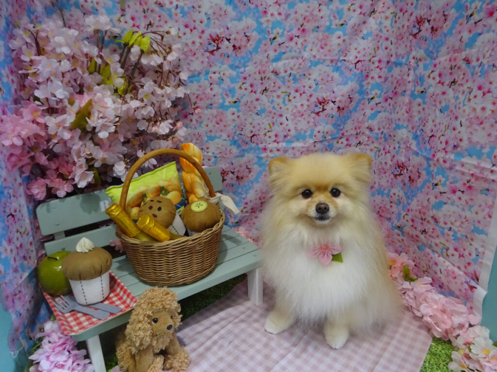 dsc04578