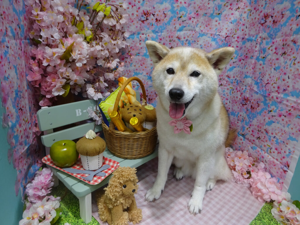dsc04644