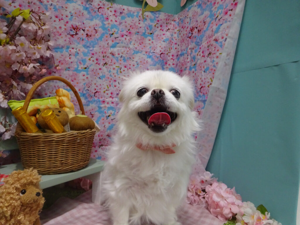 dsc04655